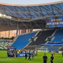 축구보는닭 이미지