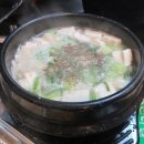 중앙돈