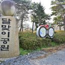 버들피리황토민박 | [전라남도 함평군] 함평 용월리 지석묘군