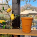 다희 민박 이미지