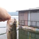 상중도뱃터 이미지