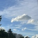 도토리숲속학교 | 도토리 전문 요리집 맛집 후기 | 숲속도토리마을