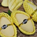 누리상회 이미지