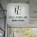 셀포랩 라라뷰티