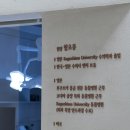 여주동물병원 네이버블로그