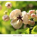 향기에취하다