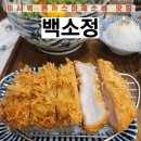 수유리우동집 하남미사점 | 백소정 하남미사점 미사역 돈까스 마제소바 맛집 찐 후기