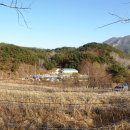 선바위농장 이미지