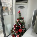 네일해찌 | 부산 사상 네일해찌에서 겨울 네일 받고 왔어요!