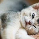 원통약국 이미지