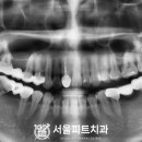 고림로 네이버블로그