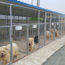 치우농장 이미지