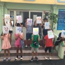 동신파이디온 이미지