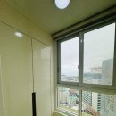 에코아바 이미지