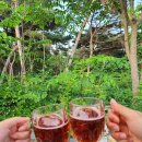 명봉산솔밭관광농원오토캠핑장 | 원주 캠핑장, 명봉산솔밭관광농원오토캠핑장