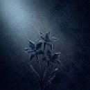 블루화 | 엠플러스 스튜디오와 함께 피어나는 - 블루화 '푸른설화' 작업 후기