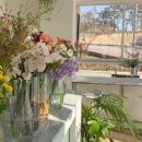 민플라워 이미지