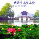 오형 티스토리