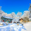 별빛마을리조트 이미지