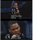 자연사 이미지
