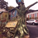 쉐이리코타키나 이미지