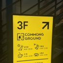 아이멍그라운드 | 건대 애견카페 도리앤도리스│반려 문화 복합공간 커멍그라운드로 오세요!