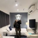 일본여행 난바 저렴한 숙소 가든스퀘어 아파트먼트 숙박후기