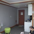 에스비에스(202) 이미지