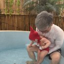 카프리솔레 | [아기랑 풀빌라]용인 카프리솔레 내돈내산 후기