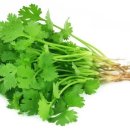 고수 카카오 검색결과