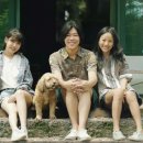 윤식당민박 이미지