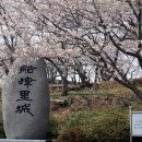 선진리성 Daum카페