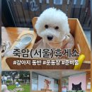 죽암(서울) | [애견동반 휴게소 추천] 죽암(서울) 휴게소 이용후기+준비물