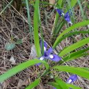 흰섬민박 2 이미지