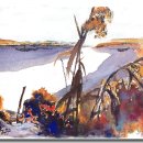 Netizen eye news. 2005년 1월 18일 화요일 이미지