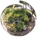 상월 농장 이미지