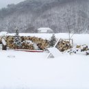 내린천민박 이미지