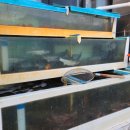 삼원횟집 이미지