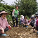 치선농장 이미지