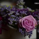 국제조화도매센타
