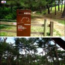 미향반찬 이미지