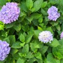 성동(병설)유치원 이미지