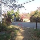 일산배수지족구장 이미지