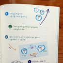 동화 듣고 스토리텔링 이미지