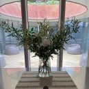 빌라누트 이미지