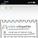 캣플헤븐 이미지