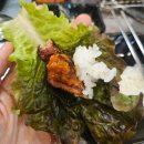 일일고기