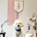 왈테이블 이미지