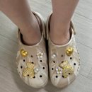 신세계백화점라코스테우먼 | 8👟커플신발 템 : 크록스 / 휠라 운동화 / 배럴 아쿠아슈즈
