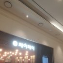 유일교정 치과기공소 | [개원노트] 오스템 개원 미팅, 패키지에 대한 견해